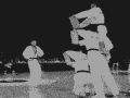 e3fc432441.gif