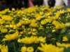 100_6267.JPG