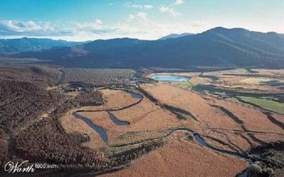 243511_1106027626069[1].jpg