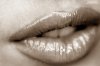 83137_13_123_418lo.jpg
