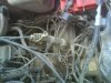 DSC04323.JPG