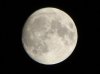 DSC00250.jpg