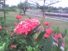 DSC00855.JPG