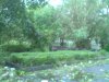DSC03309.JPG