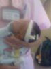 猪头031.jpg