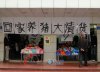 20100126174515981198.jpg