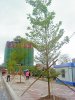 DSC02475.jpg
