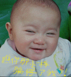 29.GIF
