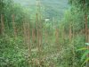 DSC00028.JPG