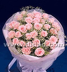 {8DE06971-9361-46AB-8623-288F087BDED2}0.jpg