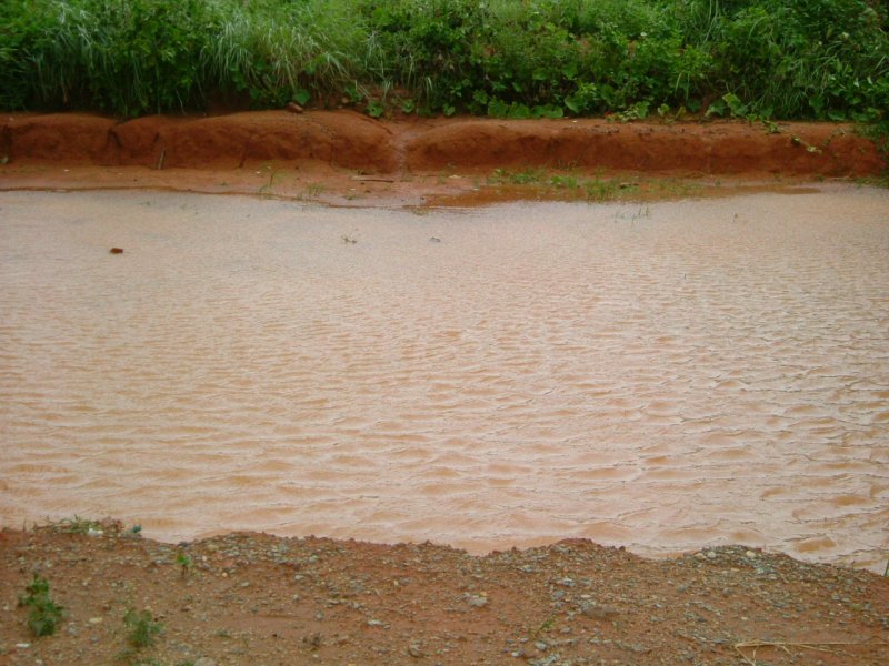 DSCF2072.JPG