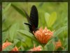 PA120136_副本.jpg