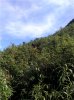 IMG_20151220_125607.jpg