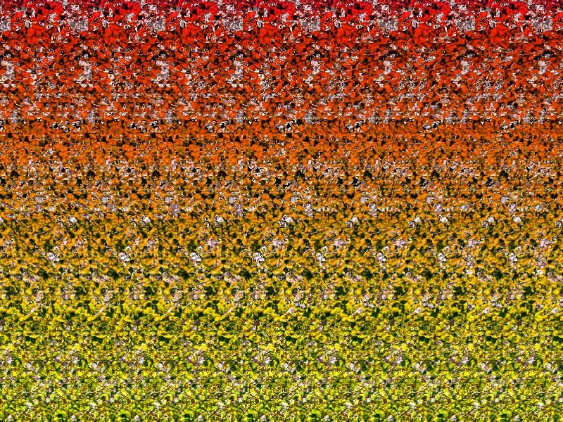 111570995303.jpg