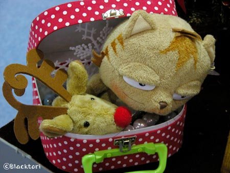 1031_19.jpg