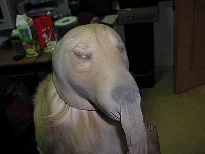 20060116144938_19.jpg
