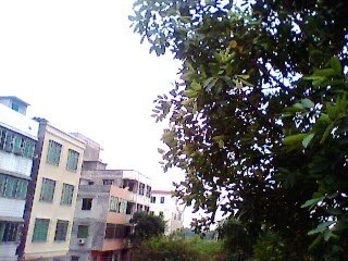 IMG0071A.jpg