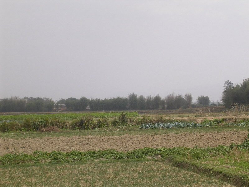 ph_057.JPG