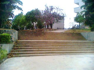 IMG0175A.jpg