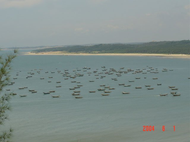 DSC01242.JPG