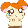 b38.gif