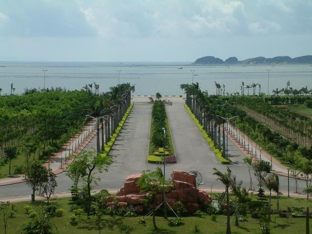 file_6896313_1148632669781.jpg