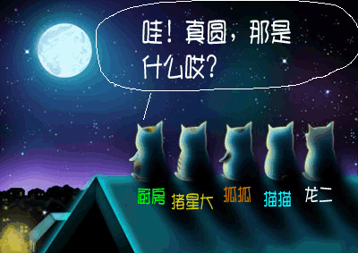 C7yz_10543030602222.gif