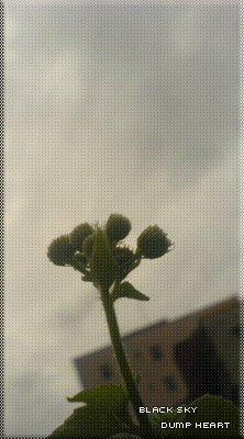 DSC02200.jpg