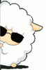 B16DB4798CCE56F79ED0D2FFCC1429A0.GIF