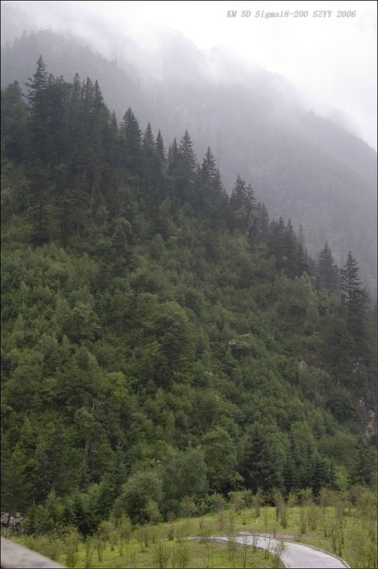 PICT0345.jpg