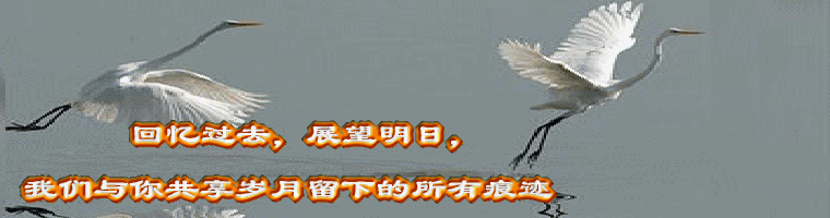2鸟.gif