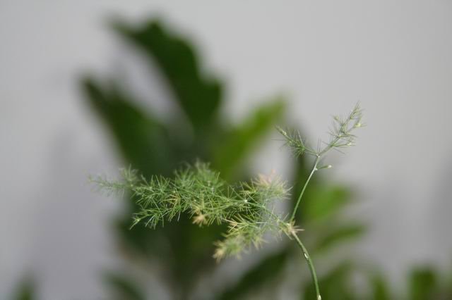 调整大小 IMG_0094.JPG