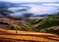 龙脊梯田20066101634132220.jpg
