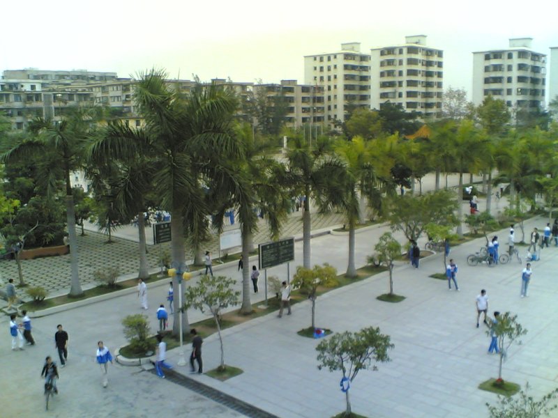 20060415(005).jpg