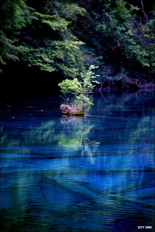PICT0680.JPG