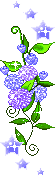 2985.gif
