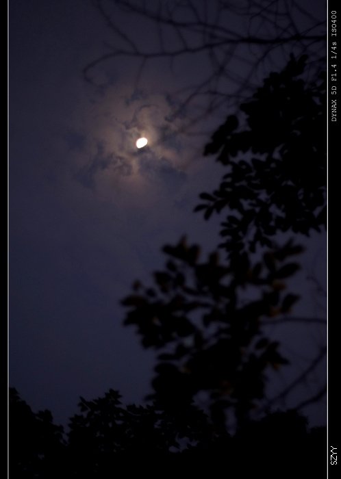 PICT1226.jpg