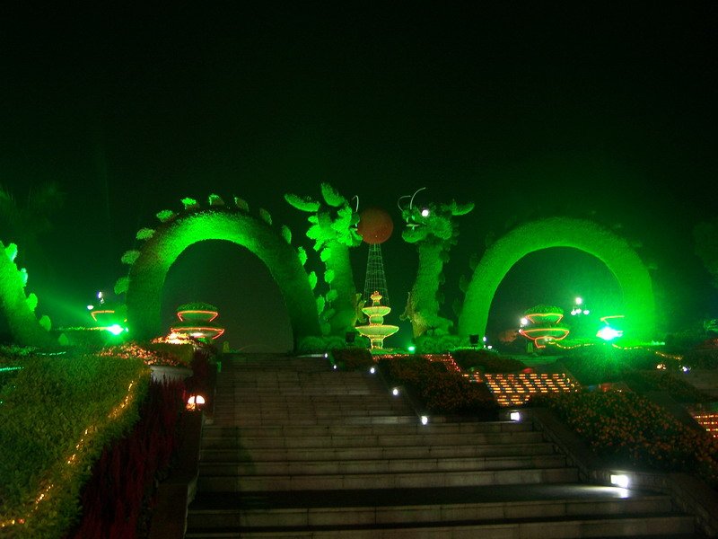 100_4699.JPG