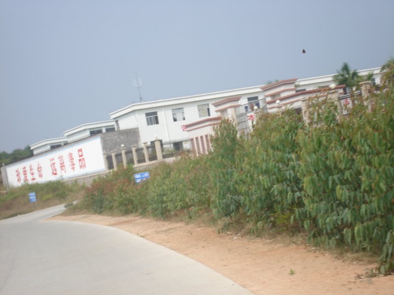 DSC04421.JPG