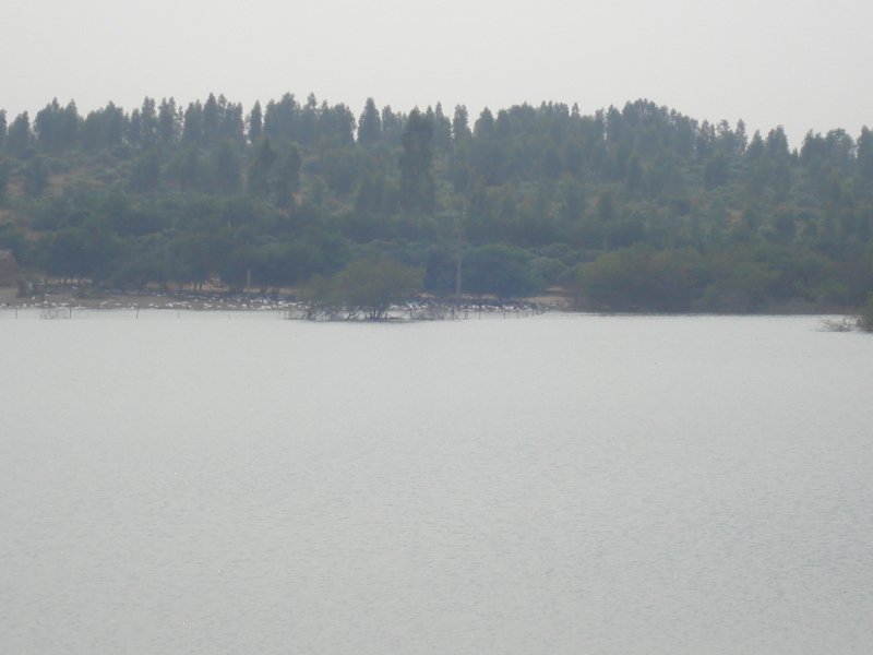 DSC04412.JPG